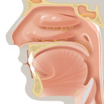 mucus forming in the lung